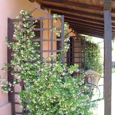 Agriturismo Pian Dei Pini * Монтияно