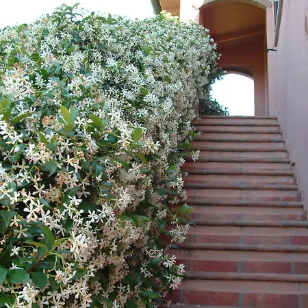 Farm stay Pian Dei Pini