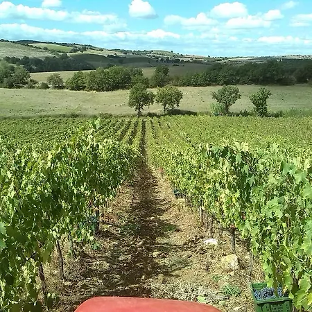 Agriturismo Pian Dei Pini Фермерский дом