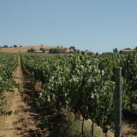 Pian Dei Pini Farmház Montiano