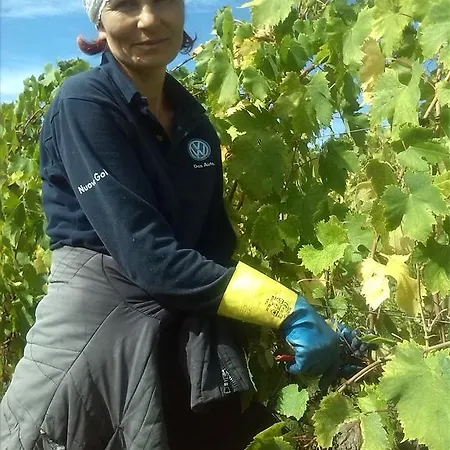 Farmház Pian Dei Pini *